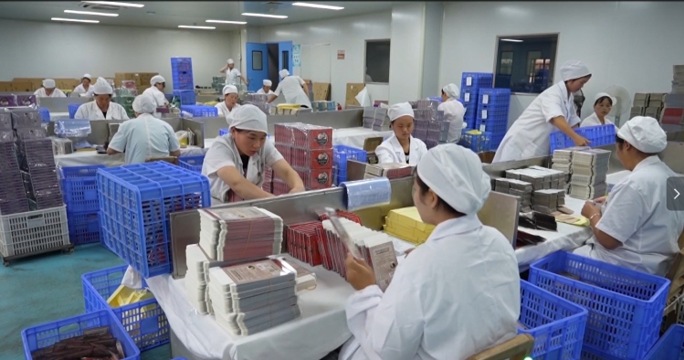 贵州制造丨贵州各地企业开足马力冲刺年度目标 医疗器械生产