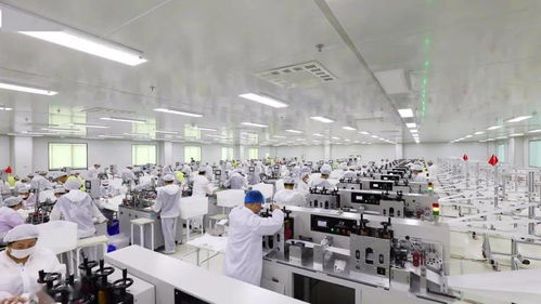 高新区荣获“山东省优质医疗器械产品生产基地”称号，产业发展迈上新台阶